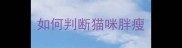 如何判断猫咪胖瘦