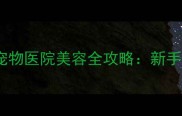 海南海口金毛犬领养宠物医院美容全攻略新手养宠必看暖心指南
