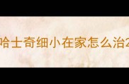 哈士奇细小在家怎么治