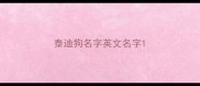 泰迪狗名字英文名字