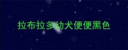 拉布拉多幼犬便便黑色