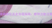 狗狗接种疫苗的准确部位及全流程指南脖颈注射注意事项与疫苗类型