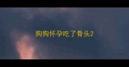 狗狗怀孕吃了骨头