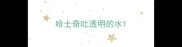 哈士奇吐透明的水