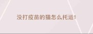没打疫苗的猫怎么托运