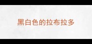黑白色的拉布拉多