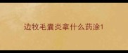 边牧毛囊炎拿什么药涂