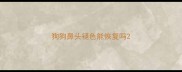狗狗鼻头褪色能恢复吗