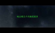 哈士奇几个月换完前牙