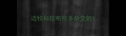 边牧和拉布拉多杂交的