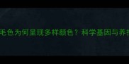金毛犬毛色为何呈现多样颜色科学基因与养护指南