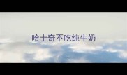 哈士奇不吃纯牛奶