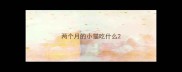 两个月的小猫吃什么