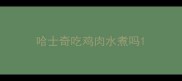 哈士奇吃鸡肉水煮吗