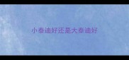 小泰迪好还是大泰迪好