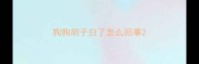 狗狗胡子白了怎么回事