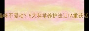 成年猫咪不爱动5大科学养护法让TA重获活力