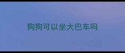 狗狗可以坐大巴车吗