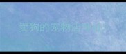卖狗的宠物店地址