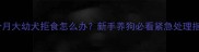 1个月大幼犬拒食怎么办新手养狗必看紧急处理指南