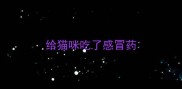 给猫咪吃了感冒药