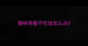 猫咪很瘦不吃饭怎么办
