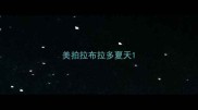 美拍拉布拉多夏天