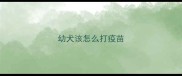 幼犬该怎么打疫苗