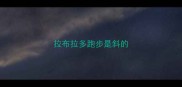 拉布拉多跑步是斜的