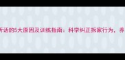 哈士奇不听话的5大原因及训练指南科学纠正拆家行为养宠人必看