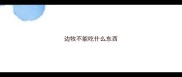 边牧不能吃什么东西