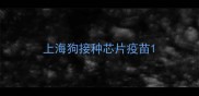 上海狗接种芯片疫苗