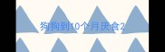狗狗到10个月厌食