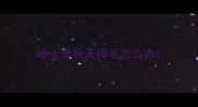 哈士奇秋天掉毛怎么办