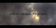 边境牧羊犬发情周期全科学养护指南