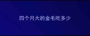 四个月大的金毛吃多少