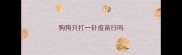 狗狗只打一针疫苗行吗