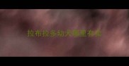 拉布拉多幼犬哪里有卖