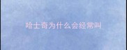 哈士奇为什么会经常叫
