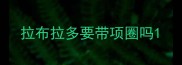 拉布拉多要带项圈吗