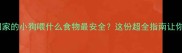 新手必看刚带回家的小狗喂什么食物最安全这份超全指南让你秒变养狗达人