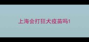 上海会打狂犬疫苗吗
