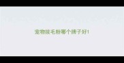 宠物拔毛粉哪个牌子好