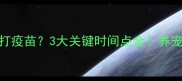驱虫药后多久能打疫苗3大关键时间点全养宠必看避坑指南
