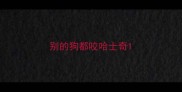 别的狗都咬哈士奇