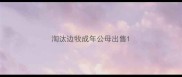 淘汰边牧成年公母出售