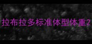拉布拉多标准体型体重