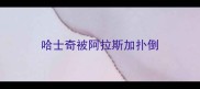 哈士奇被阿拉斯加扑倒