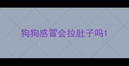 狗狗感冒会拉肚子吗