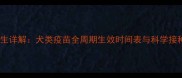 宠物医生详解犬类疫苗全周期生效时间表与科学接种指南